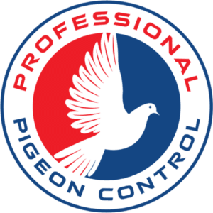 Professional Pigeon Control Company Phoenix Arizona